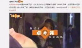 娱乐圈爆料哪个没有黑料,揭秘无黑料明星的神秘魅力